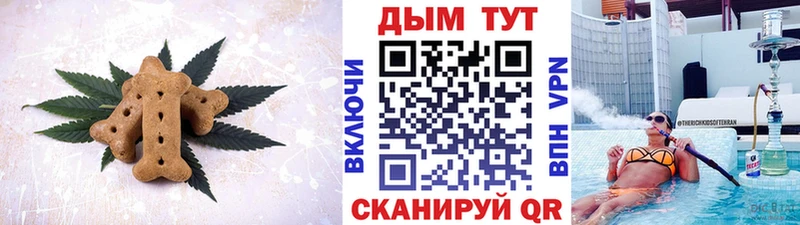 Купить где  Тейково  Cannafood конопля 