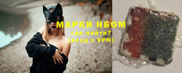 хмурый Кодинск