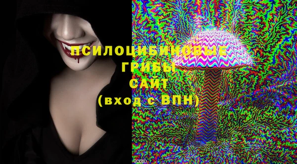 хмурый Кодинск