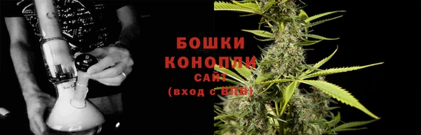 мдпв Козловка