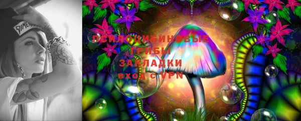 мдпв Козловка