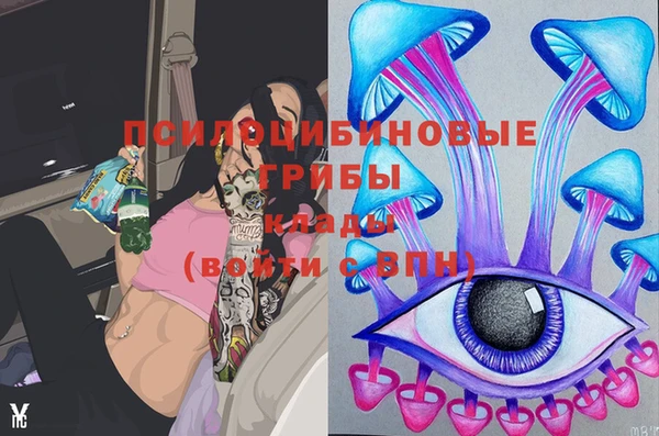 мдпв Козловка